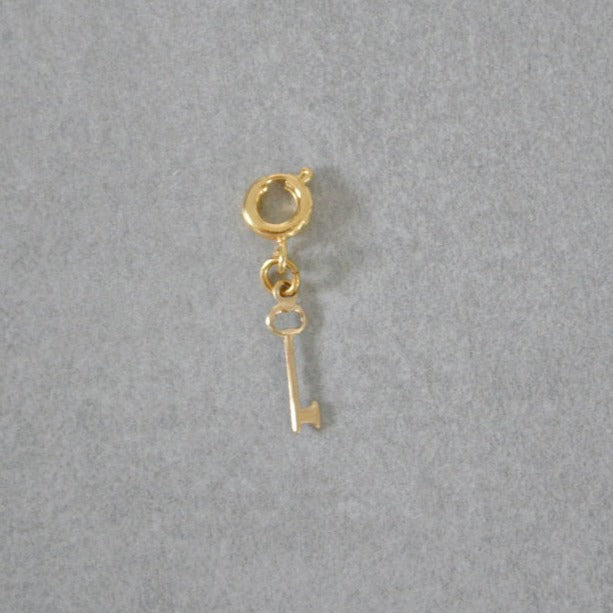 Tiny Skeleton Key Charm • Halfable