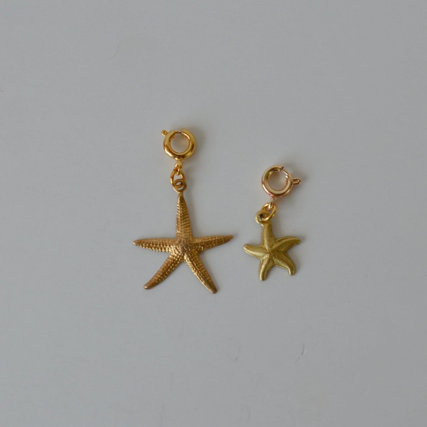Medium Starfish • Halfable