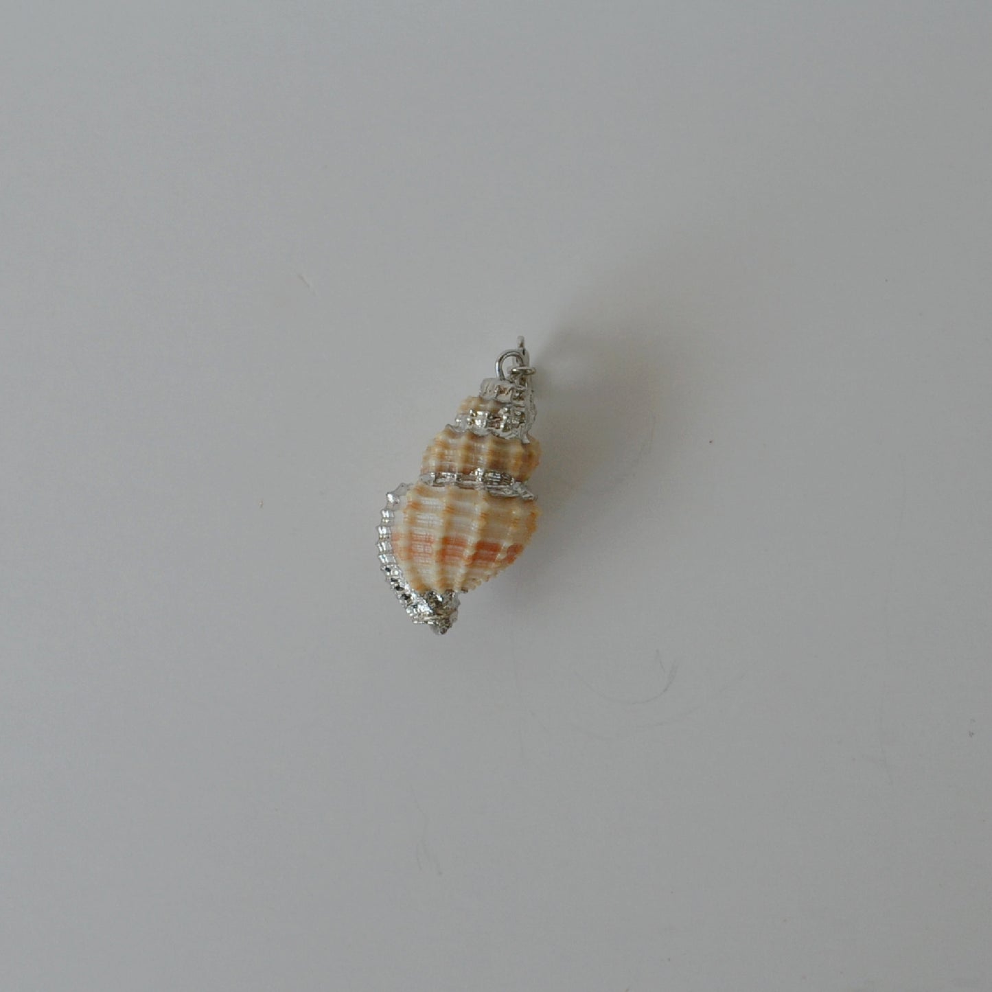 Conch Shell • Silver Halfable
