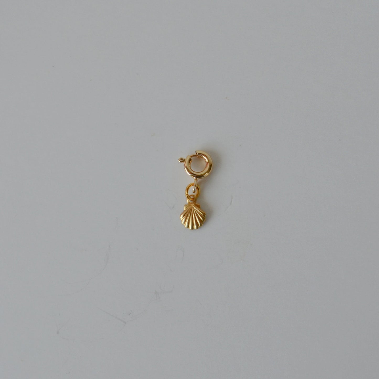 Tiny Shell Charm • Halfable