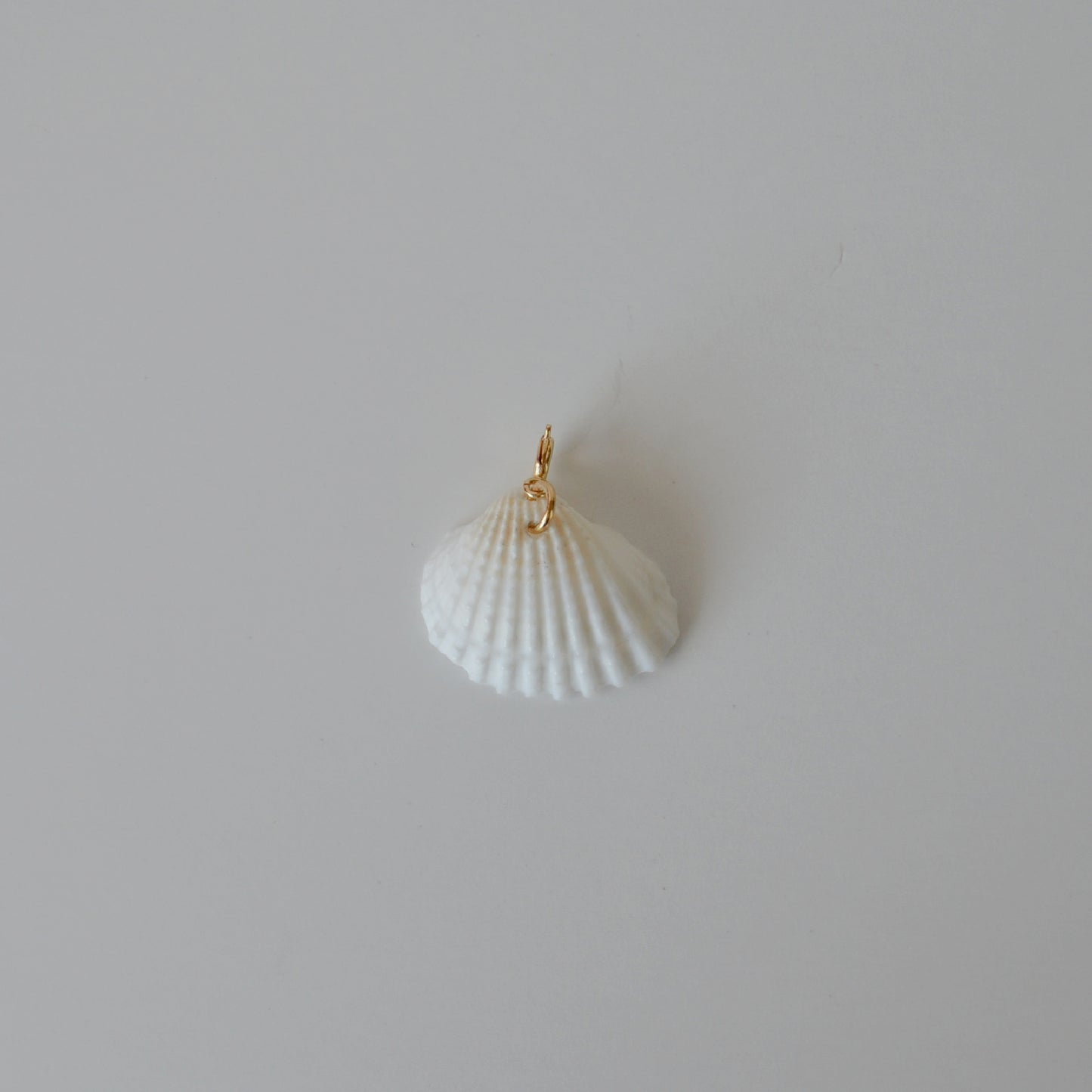 Natural Seashell Charm • Halfable