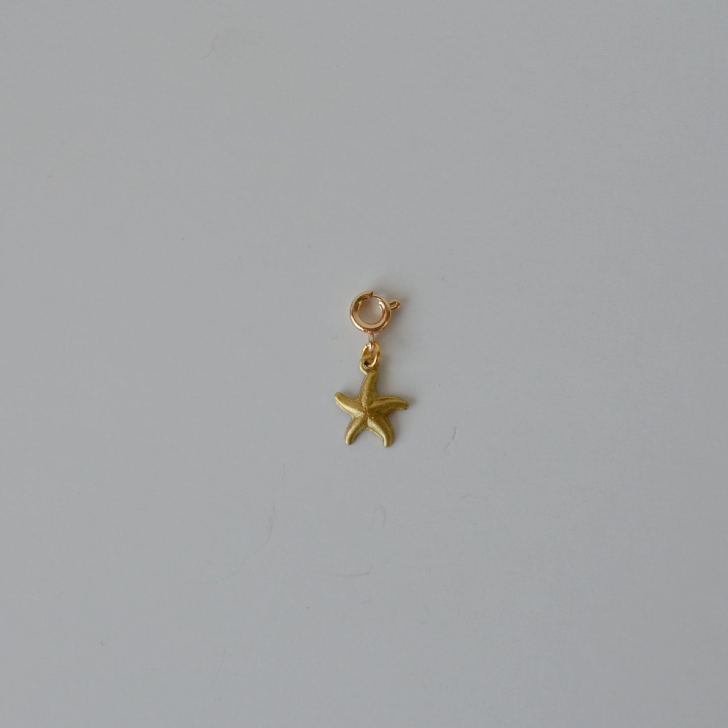 Tiny Starfish Charm • Halfable