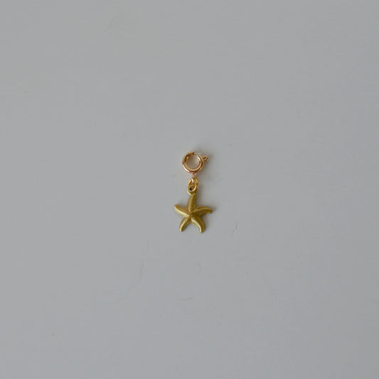 Tiny Starfish Charm • Halfable