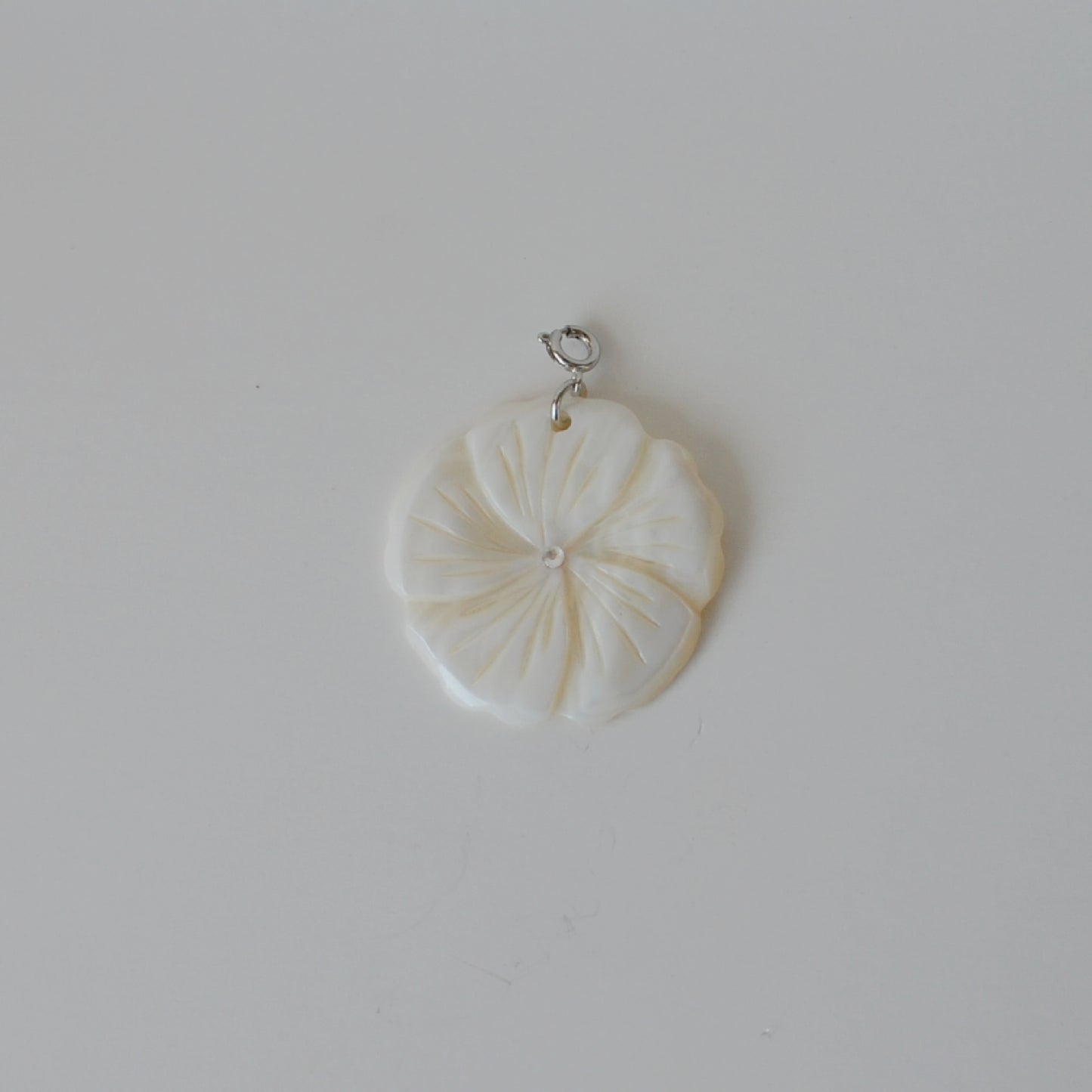 XL Shell Hibiscus Flower • Silver Halfable