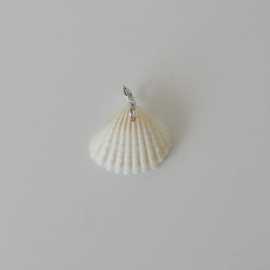 Natural Seashell Charm • Silver Halfable