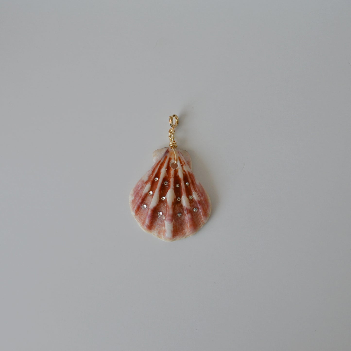 XL Scallop Shell Charm • Halfable